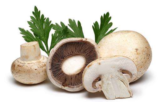 购买的蘑菇有一股刺鼻的味道这是怎么回事呢？是农药残留吗？