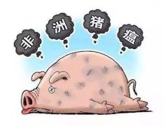 韩国已经确认出现非洲猪瘟的疫情