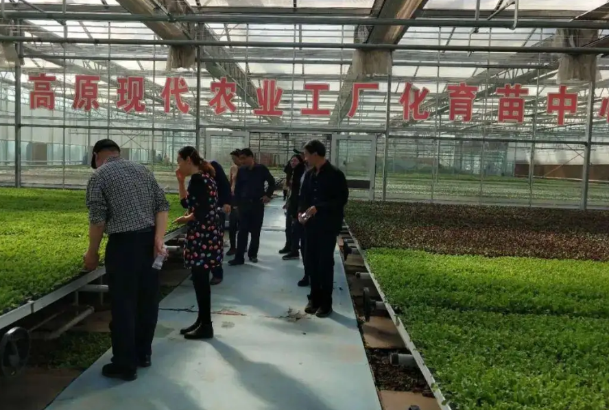 吴起县蔬菜技术服务中心采购高智能土壤肥料养分检测仪