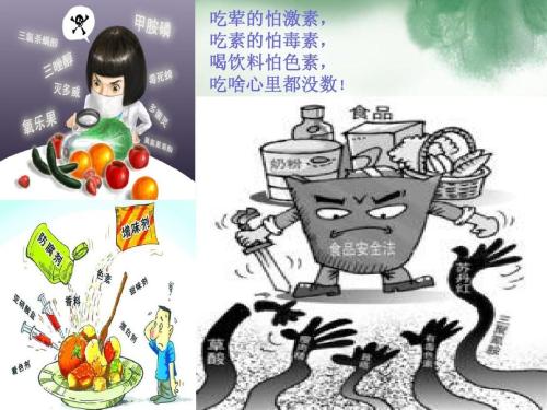 食品安全检测仪