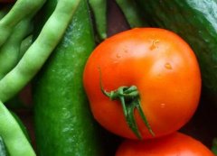 食品安全检测仪与农药残留检测仪的区别吗？